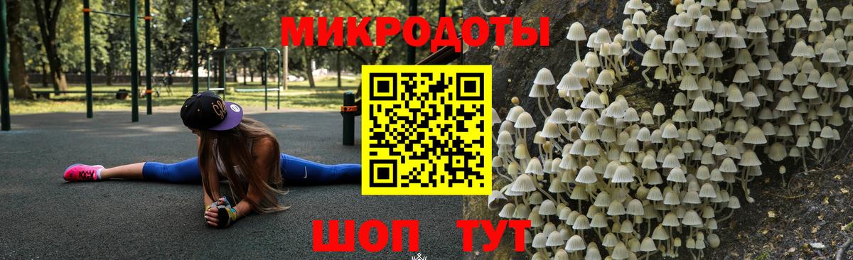 Галлюциногенные грибы Psilocybe Сухой Лог