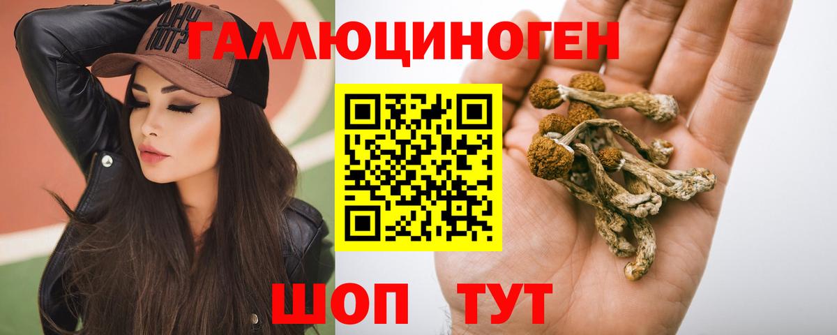 Сухой Лог  Псилоцибиновые грибы GOLDEN TEACHER  Вход с VPN 